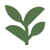plants herb branch leaves g updated green.png